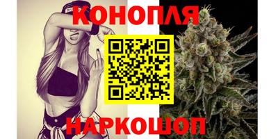 крисы Краснознаменск