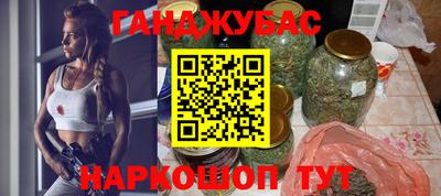 крисы Краснознаменск