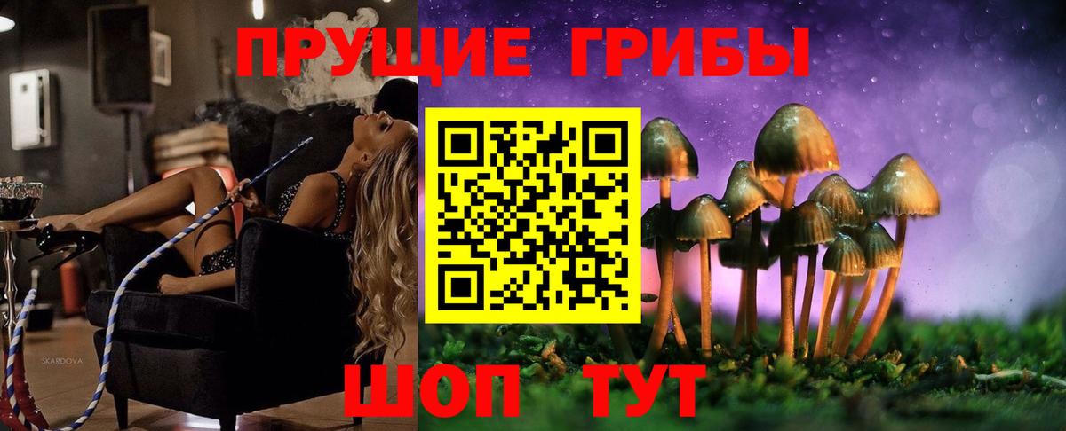 Псилоцибиновые грибы MAGIC MUSHROOMS  Вход с VPN  Псилоцибиновые грибы ЛСД  Урюпинск 